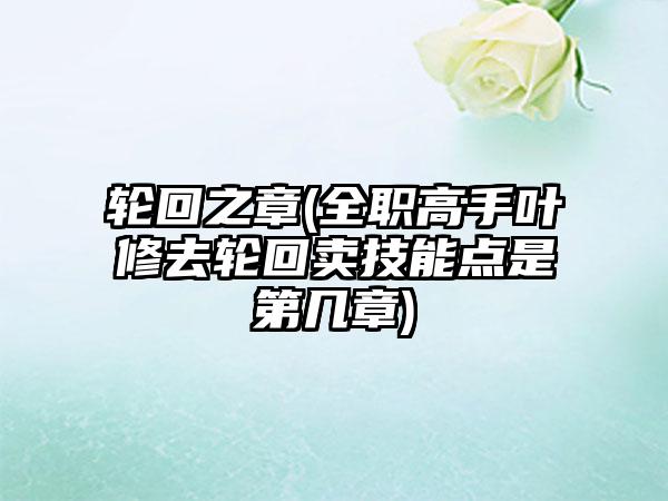 轮回之章(全职高手叶修去轮回卖技能点是第几章)