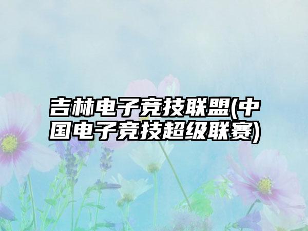 吉林电子竞技联盟(中国电子竞技超级联赛)