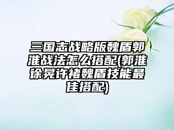 三国志战略版魏盾郭淮战法怎么搭配(郭淮徐晃许褚魏盾技能最佳搭配)
