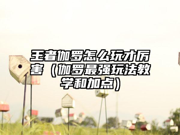 王者伽罗怎么玩才厉害（伽罗最强玩法教学和加点）