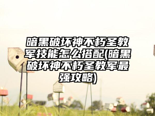 暗黑破坏神不朽圣教军技能怎么搭配(暗黑破坏神不朽圣教军最强攻略)