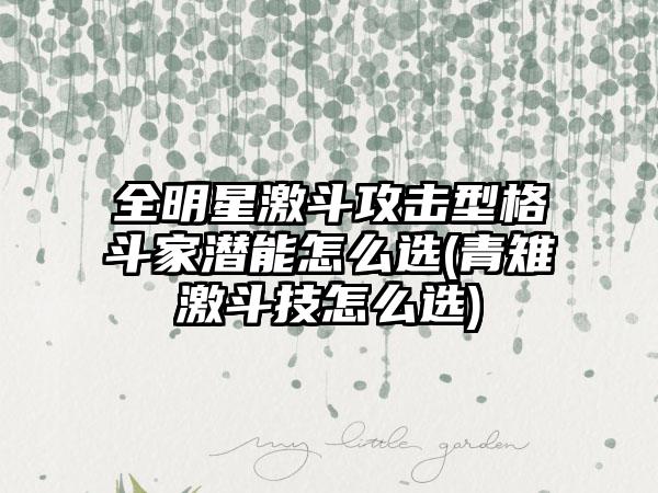 全明星激斗攻击型格斗家潜能怎么选(青雉激斗技怎么选)