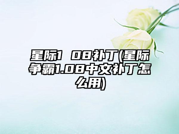 星际1 08补丁(星际争霸1.08中文补丁怎么用)