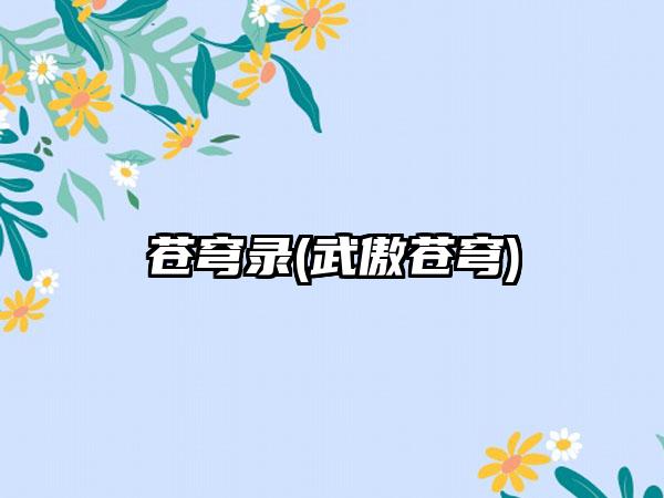 苍穹录(武傲苍穹)