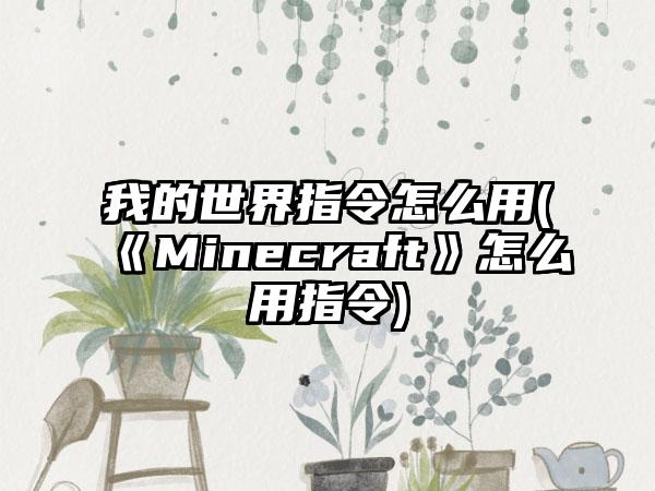 我的世界指令怎么用(《Minecraft》怎么用指令)