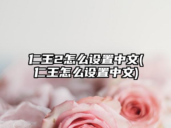 仁王2怎么设置中文(仁王怎么设置中文)