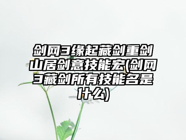 剑网3缘起藏剑重剑山居剑意技能宏(剑网3藏剑所有技能名是什么)