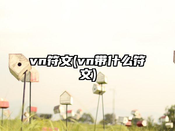 vn符文(vn带什么符文)