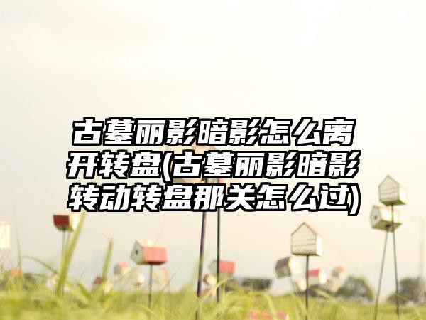 古墓丽影暗影怎么离开转盘(古墓丽影暗影转动转盘那关怎么过)