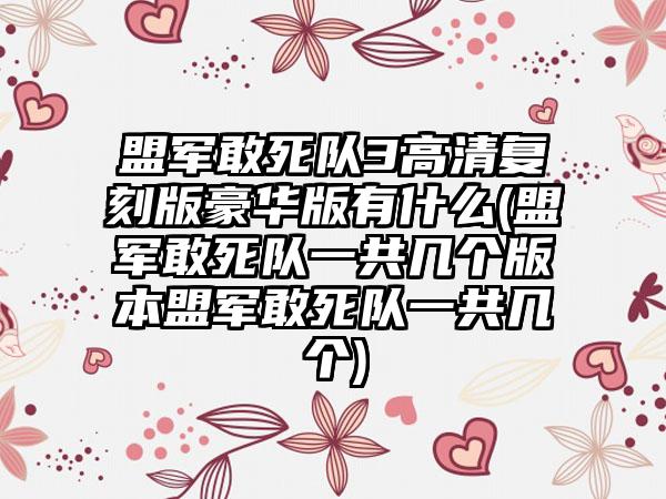 盟军敢死队3高清复刻版豪华版有什么(盟军敢死队一共几个版本盟军敢死队一共几个)