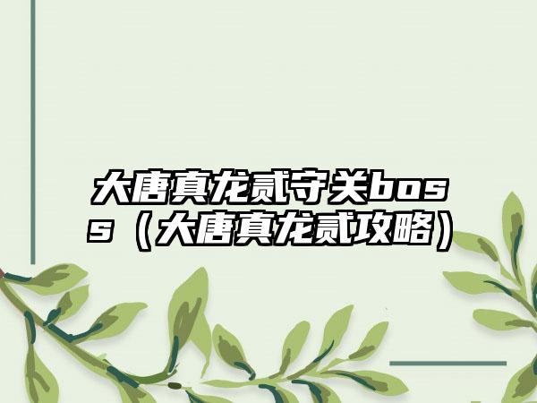 大唐真龙贰守关boss（大唐真龙贰攻略）