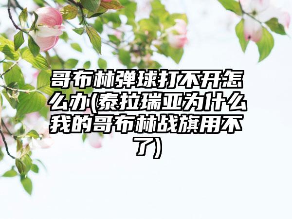 哥布林弹球打不开怎么办(泰拉瑞亚为什么我的哥布林战旗用不了)