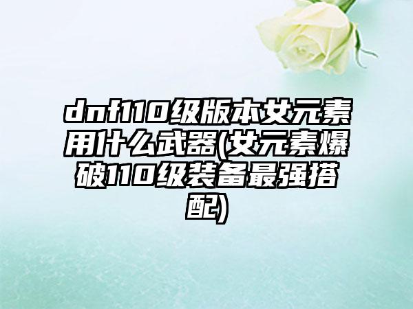 dnf110级版本女元素用什么武器(女元素爆破110级装备最强搭配)
