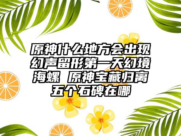 原神什么地方会出现幻声留形第一天幻境海螺 原神宝藏归离五个石碑在哪
