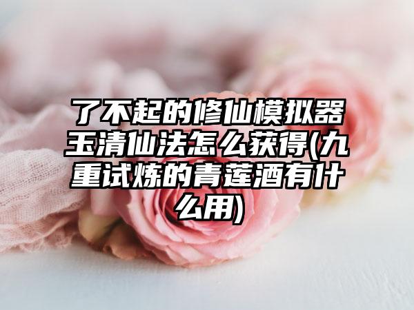 了不起的修仙模拟器玉清仙法怎么获得(九重试炼的青莲酒有什么用)