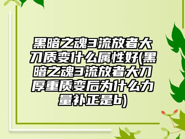 黑暗之魂3流放者大刀质变什么属性好(黑暗之魂3流放者大刀厚重质变后为什么力量补正是b)