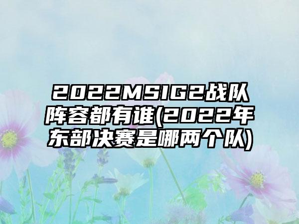 2022MSIG2战队阵容都有谁(2022年东部决赛是哪两个队)
