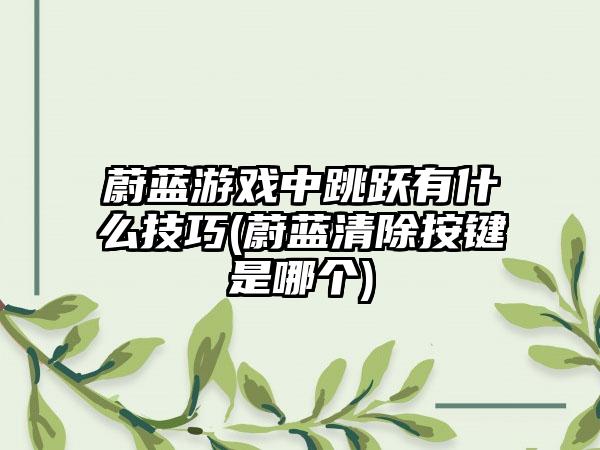 蔚蓝游戏中跳跃有什么技巧(蔚蓝清除按键是哪个)