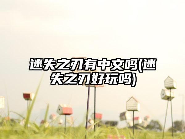 迷失之刃有中文吗(迷失之刃好玩吗)