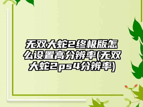 无双大蛇2终极版怎么设置高分辨率(无双大蛇2ps4分辨率)