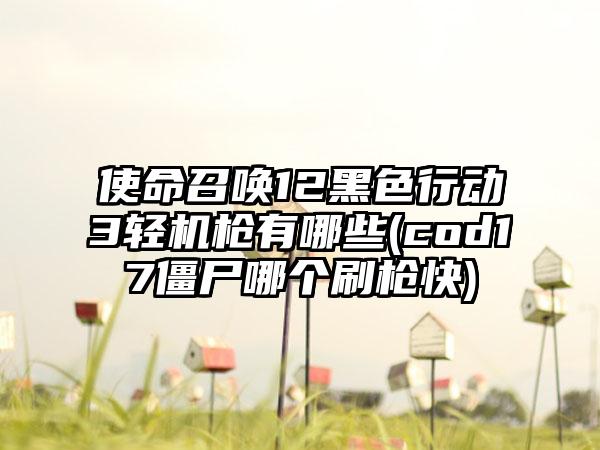 使命召唤12黑色行动3轻机枪有哪些(cod17僵尸哪个刷枪快)