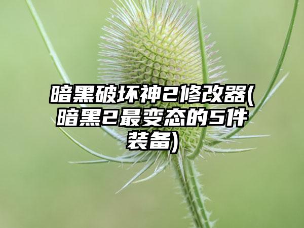 暗黑破坏神2修改器(暗黑2最变态的5件装备)