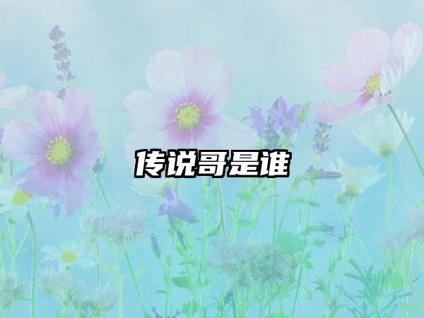 传说哥是谁