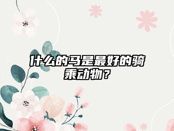 什么的马是最好的骑乘动物？