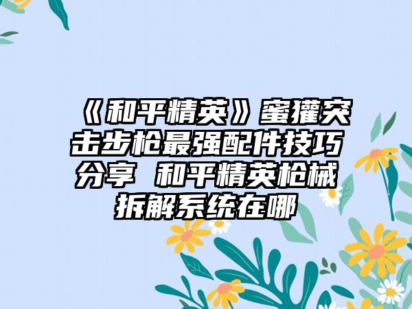 《和平精英》蜜獾突击步枪最强配件技巧分享 和平精英枪械拆解系统在哪
