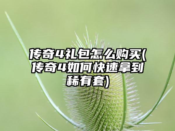 传奇4礼包怎么购买(传奇4如何快速拿到稀有套)