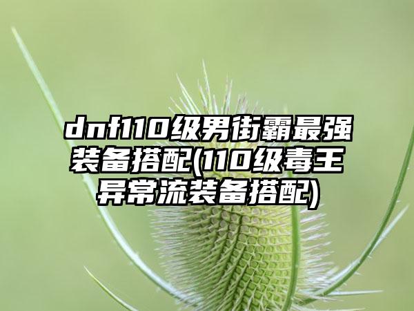 dnf110级男街霸最强装备搭配(110级毒王异常流装备搭配)