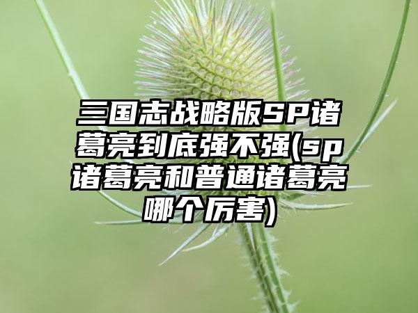三国志战略版SP诸葛亮到底强不强(sp诸葛亮和普通诸葛亮哪个厉害)