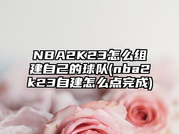 NBA2K23怎么组建自己的球队(nba2k23自建怎么点完成)