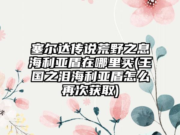 塞尔达传说荒野之息海利亚盾在哪里买(王国之泪海利亚盾怎么再次获取)