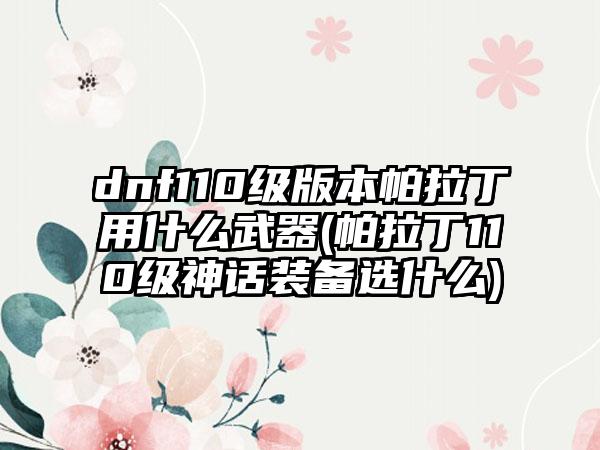dnf110级版本帕拉丁用什么武器(帕拉丁110级神话装备选什么)