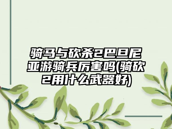 骑马与砍杀2巴旦尼亚游骑兵厉害吗(骑砍2用什么武器好)