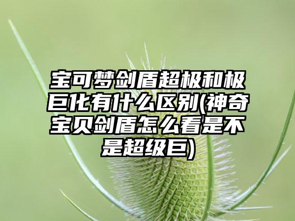 宝可梦剑盾超极和极巨化有什么区别(神奇宝贝剑盾怎么看是不是超级巨)