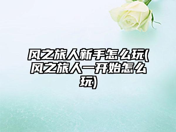 风之旅人新手怎么玩(风之旅人一开始怎么玩)