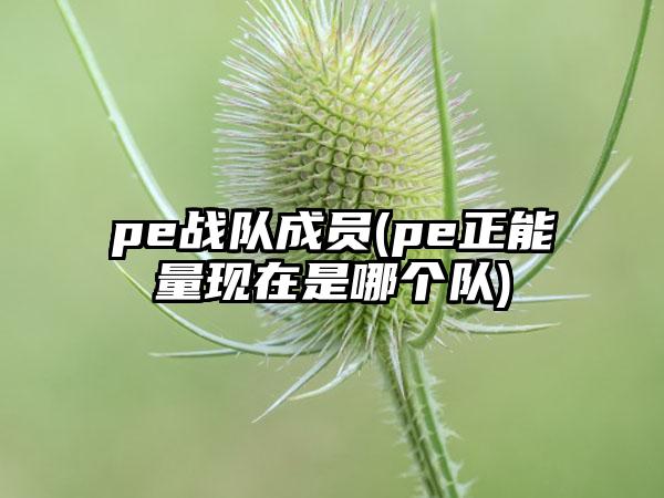 pe战队成员(pe正能量现在是哪个队)