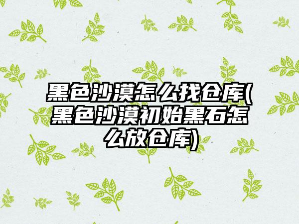 黑色沙漠怎么找仓库(黑色沙漠初始黑石怎么放仓库)