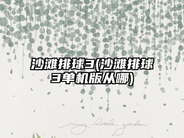 沙滩排球3(沙滩排球3单机版从哪)
