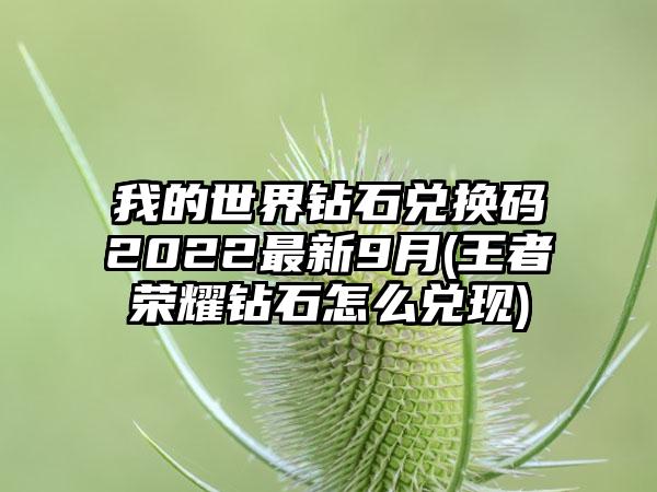 我的世界钻石兑换码2022最新9月(王者荣耀钻石怎么兑现)