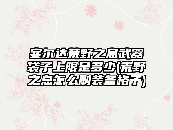 塞尔达荒野之息武器袋子上限是多少(荒野之息怎么刷装备格子)