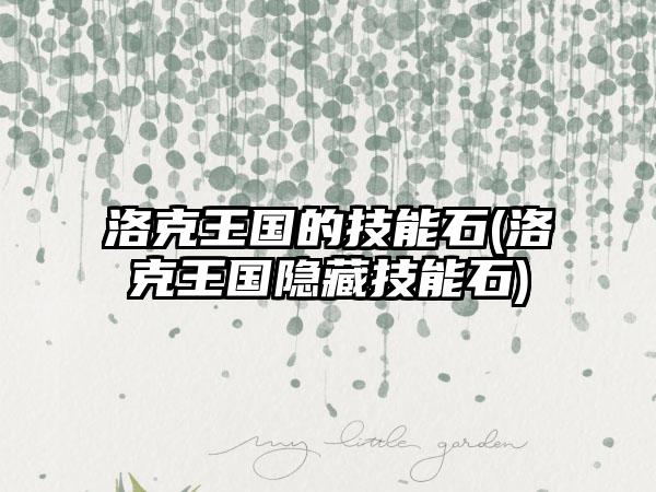 洛克王国的技能石(洛克王国隐藏技能石)