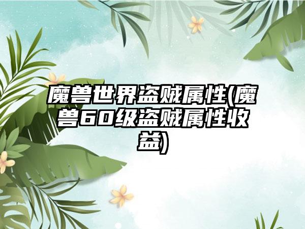魔兽世界盗贼属性(魔兽60级盗贼属性收益)