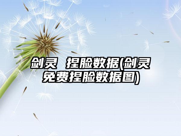 剑灵 捏脸数据(剑灵免费捏脸数据图)