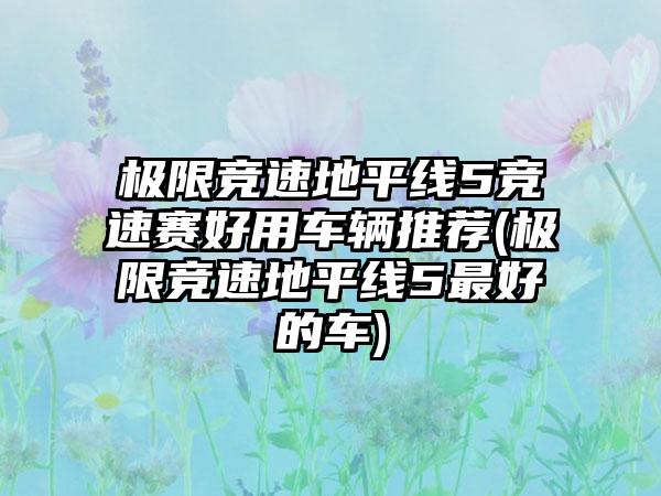 极限竞速地平线5竞速赛好用车辆推荐(极限竞速地平线5最好的车)