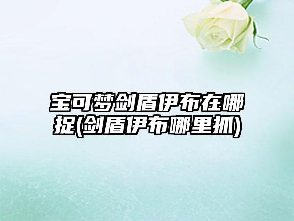 宝可梦剑盾伊布在哪捉(剑盾伊布哪里抓)