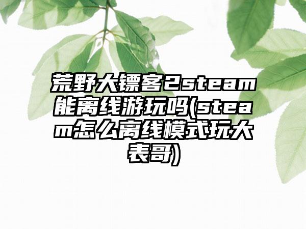 荒野大镖客2steam能离线游玩吗(steam怎么离线模式玩大表哥)