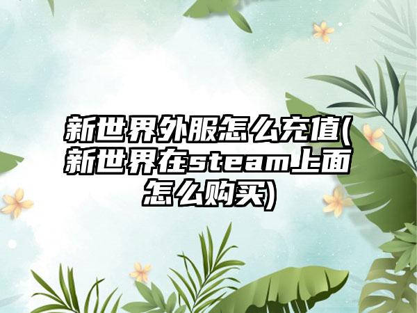 新世界外服怎么充值(新世界在steam上面怎么购买)